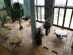 El Raconet de l’Avenc
