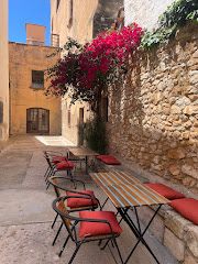 La Lleona Salada