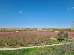 Mirador de Aitona