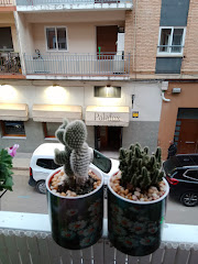 Palafox