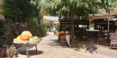 Restaurant Mas Pou