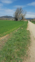 Valle de Bas