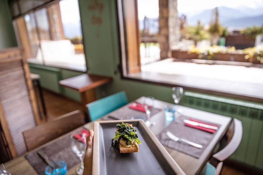 Arç Gastroteca regenerativa