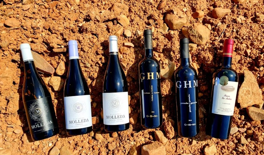 Bodega Hacienda Molleda (Xucrogas S.A.)