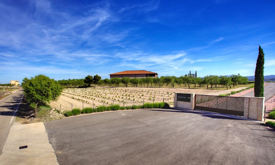 Bodegas Alto Moncayo S.A.