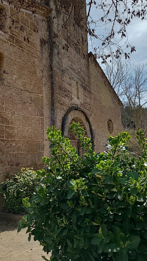Cal Ferrer- Mura