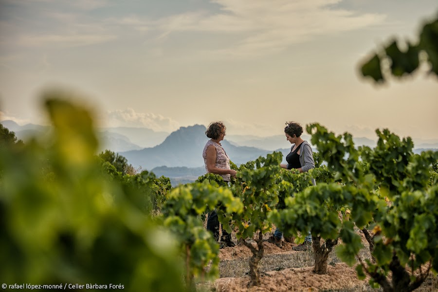 Celler Bàrbara Forés