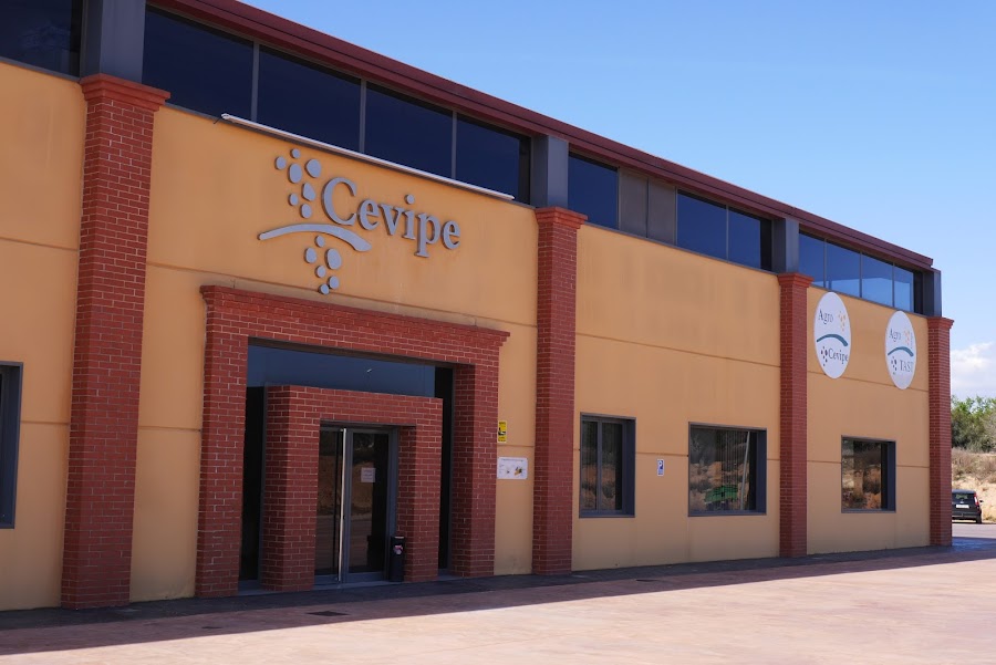 CEVIPE l'Arboç, Centre Vinícola del Penedès SCCL