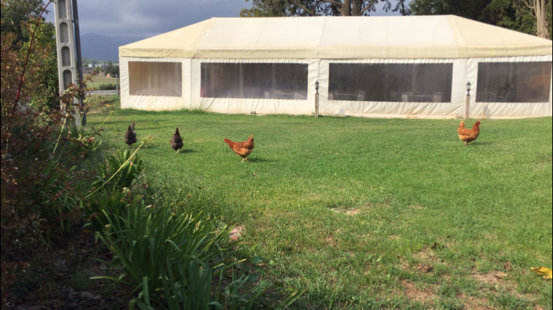 Eventos Masia Pou de Glaç