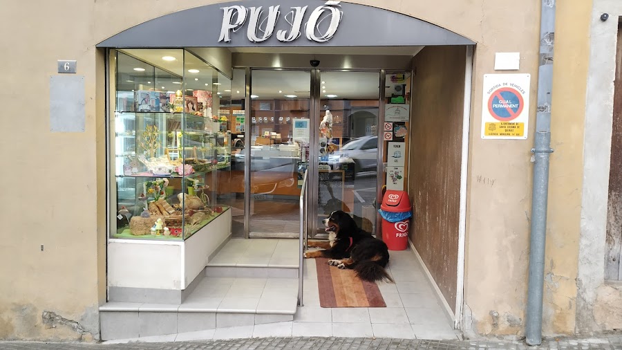 Forn de pa Pujó