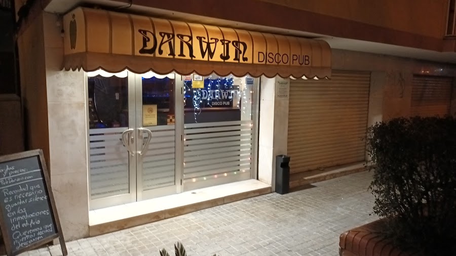 Pub Darwin